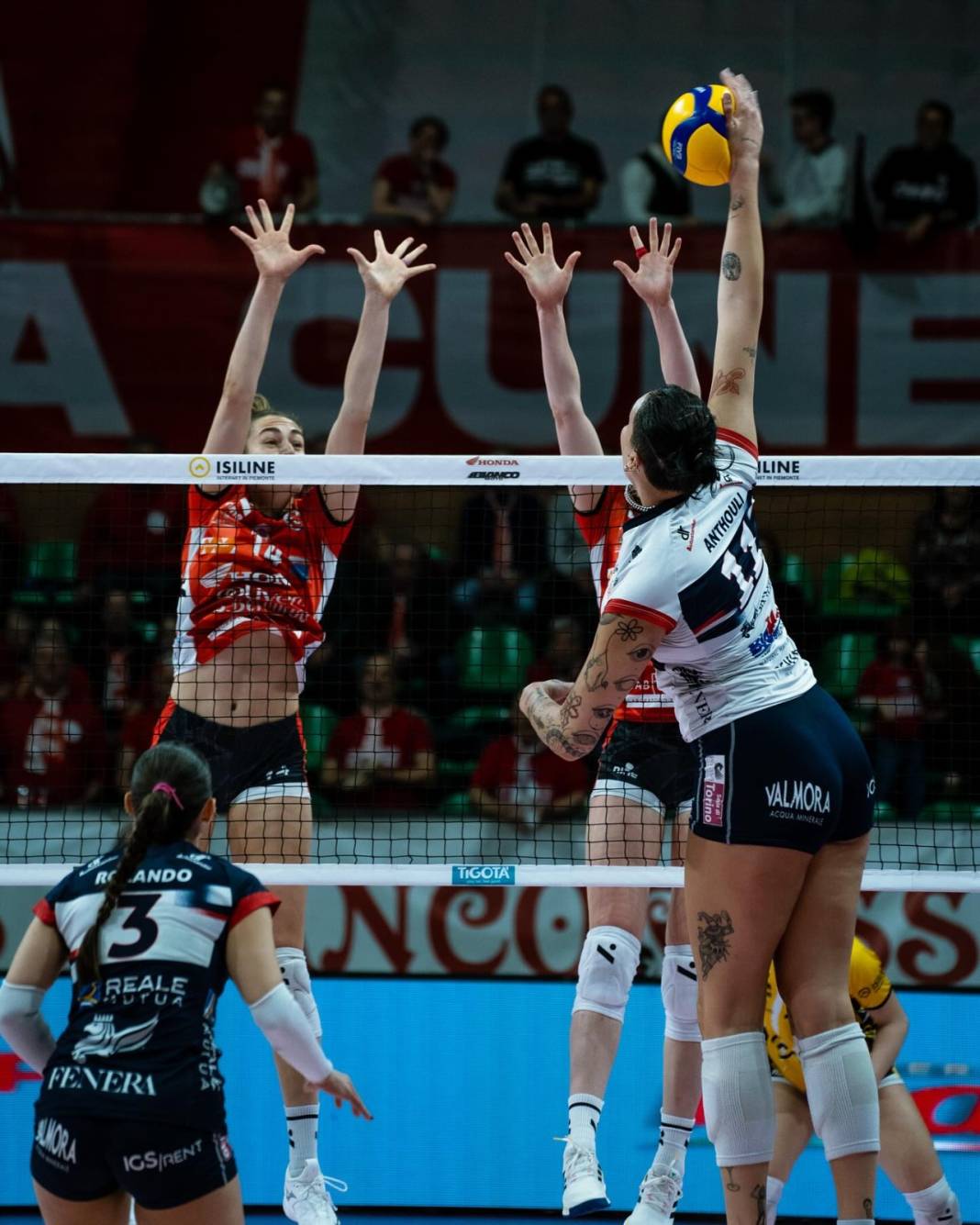Sultanlar Ligi'ni karıştıracak transfer: 2.02'lik Yunan bombası imzayı attı 6